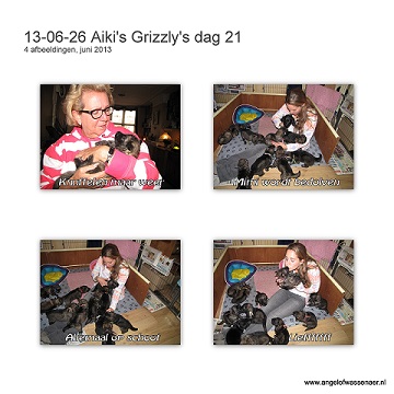 Grizzly's dag 21